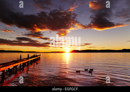 Lake Rotorua at sunrise, North Island, New Zealand Stock Photo