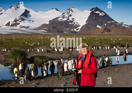 South Atlantic, South Georgia, Bay of Isles, female tourist amongst king penguins Stock Photo