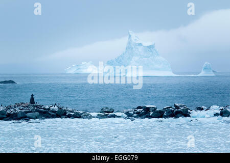 An iceberg floats in the distance off the coast of Point Wild, Elephant Island, Antarctica Stock Photo