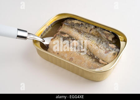 An opened can of sardines in oil and water with a fork inserted in the tin on a white table top. Stock Photo