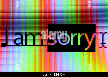 Closeup of phrase 'I am sorry' on LCD computer screen Stock Photo