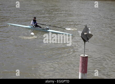 AJAXNETPHOTO. BOUGIVAL, FRANCE. - RIVER SEINE -  A ROWING SKIFF ON THE RIVER. PHOTO:JONATHAN EASTLAND/AJAX REF:RD1S 60204 225 Stock Photo
