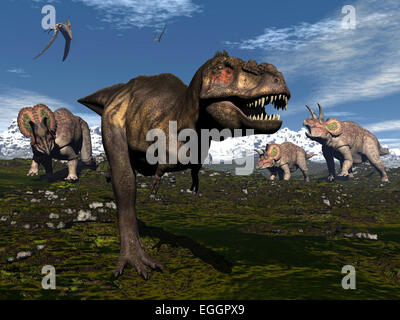 Tyrannosaurus rex attacked by three Triceratops. Stock Photo