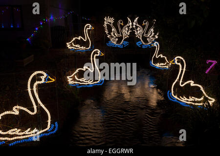 [Seven Swans a Swimming], [Twelve Days of Christmas], Angarrack [Christmas Lights], Cornwall, UK Stock Photo