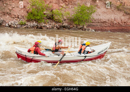 Guide rows dory through Warm Springs Rapid, Yampa River, Dinosaur National Monument, Colorado. Stock Photo