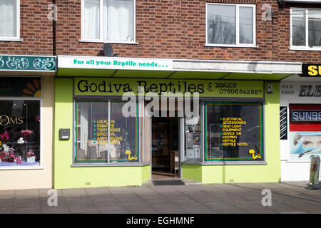 A shop selling reptiles, Coventry, UK Stock Photo