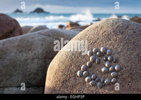 Limpet shells [Patella vulgata] on rock boulder, "Porth Nanven", Cornwall, England, UK Stock Photo
