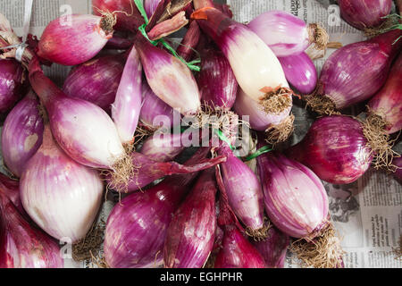 onions from tropea, market, old town, crotone, calabria, italy, europe Stock Photo