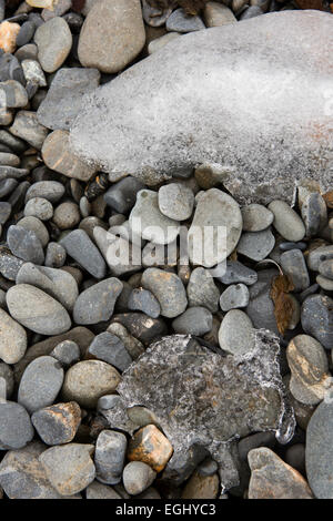 South Georgia, Cumberland Bay, Jason Harbour, ice on beach pebbles, texture detail Stock Photo