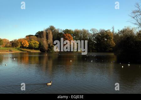 abington northampton weston