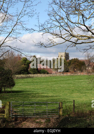 View across fields to St Peters Church, Wellesbourne, Warwickshire, UK Stock Photo