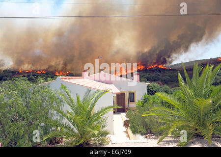 Huge forest fire threatens homes in Portugal Stock Photo