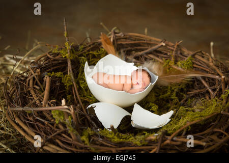 Sleeping newborn baby in a bird's egg Stock Photo