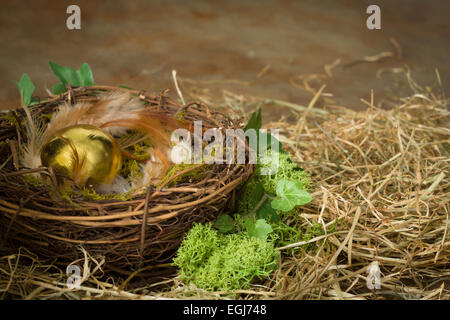 Golden eggs in a bird's nest in moss Stock Photo