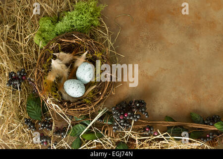 Border frame image made of berries, spring leaves and a bird's nest Stock Photo