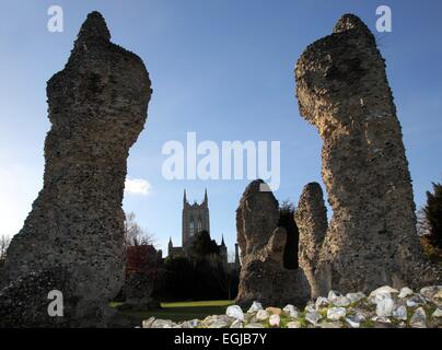 St Edmundsbury Cathedral, Bury St Edmunds, Suffolk, UK, viewed from the old Abbey Ruins Stock Photo