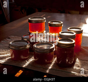 Freshly-made Seville orange marmalade is back-lit by an early-morning sun. The preserve jars are sitting on a wooden table. Stock Photo
