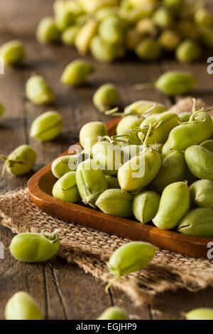 Raw Fresh Organic Green Garbanzo Beans in a Bowl Stock Photo