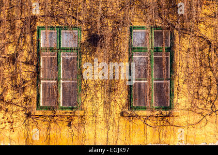 Old dirty windows on old dirty wall Stock Photo