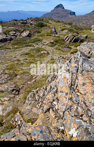 Hiker and Mt Anne, the highest peak in south west Tasmania Stock Photo