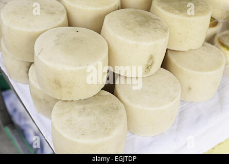 Sheep cheese detail of a dairy product, food healthy, dry and cured Stock Photo