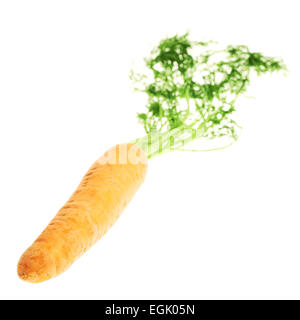 Unpeeled carrot with the green top isolated Stock Photo
