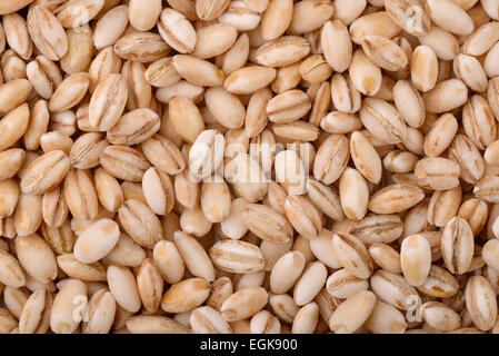 Background of pearl barley Stock Photo