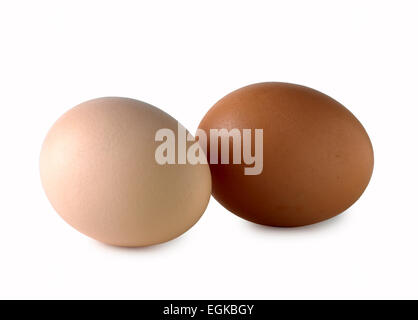 white egg brown egg Stock Photo