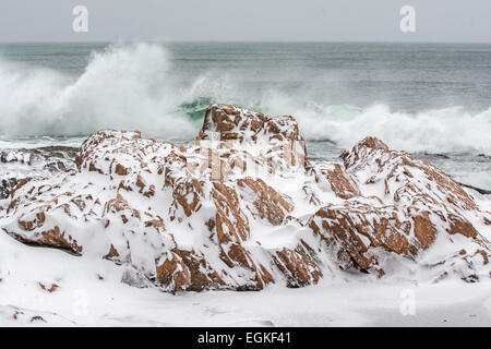 Winter storm on the Atlantic Ocean at Acadia National Park, Maine. Stock Photo