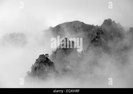 Black and white photo of foggy Demerdzhi mountain, Crimea, Ukraine Stock Photo