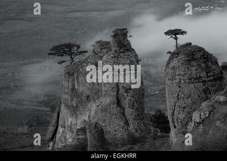 Monochrome photo of foggy mountain valley. Demerdzhi area, Crimea, Ukraine Stock Photo