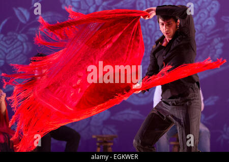 Pictured: Eduardo Leal performing. Ballet Flamenco de Andalucía perform 'Las Cuatro Esquinas' from their production 'Images: 20 Years' during the Flamenco Festival London 2015 at Sadler's Wells Theatre. The show runs from 20-21 February with the festival running from 16 February to 1 March 2015. Stock Photo