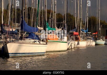 AJAXNETPHOTO - SEPT, 2009. HAMBLE RIVER, ENGLAND - MOORINGS - YACHTS MOORED ON THE UPPER REACHES OF THE RIVER. PHOTO:JONATHAN EASTLAND/AJAX REF:91609 2973 Stock Photo