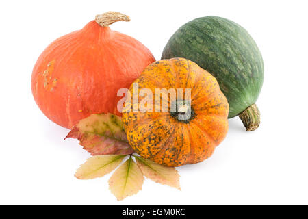 pumpkins squash Stock Photo