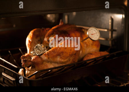 Turkey poultry roast with meat thermometer measuring temperature at  Thanksgiving Stock Photo - Alamy