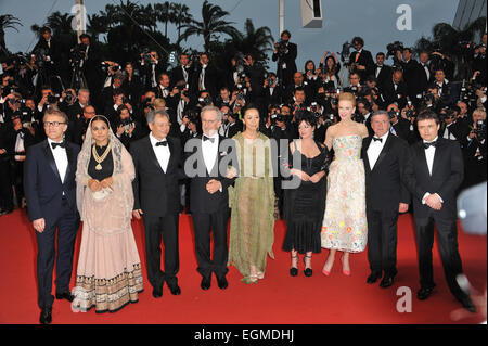 CANNES, FRANCE - MAY 15, 2013: The Jury of the 66th Festival de Cannes - Steven Spielberg, Nicole Kidman, Daniel Auteuil, Ang Lee, Lynne Ramsay, Christoph Waltz, Vidya Balan, Naomi Kawase & Cristian Mungiu at the premiere of 'The Great Gatsby' the opening movie of the 66th Festival de Cannes. Stock Photo