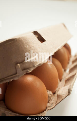 Fresh free-range eggs in recycled paper carton. Stock Photo