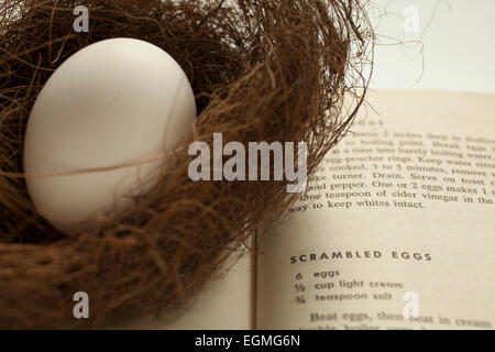 An egg in a delicate bird nest rests on a cookbook opened to a recipe for scrambled eggs. Stock Photo