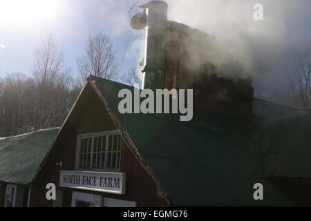 The South Face Farm sugarhouse has steam rising from a vent during a boil of sap.