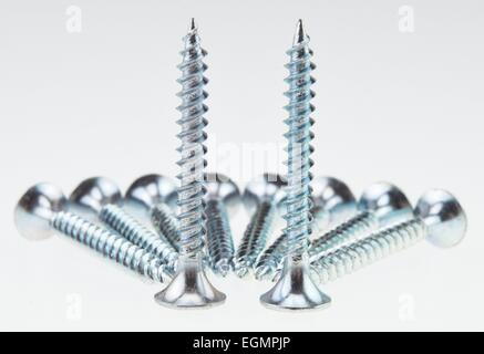 Silver wood screws Stock Photo