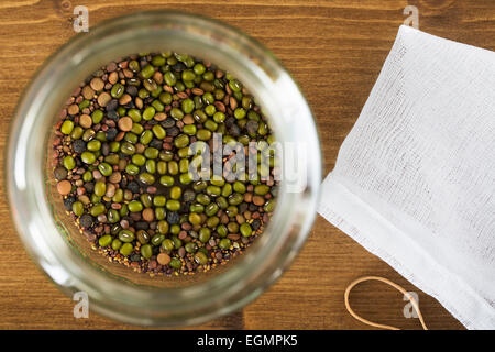 Mung Beans and other beans and seeds in sprouting jar viewed from directly above.