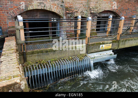 Moving water flowing around, into, through the Winchester mill; being used to drive operate the water wheel. Winchester Mill, UK Stock Photo