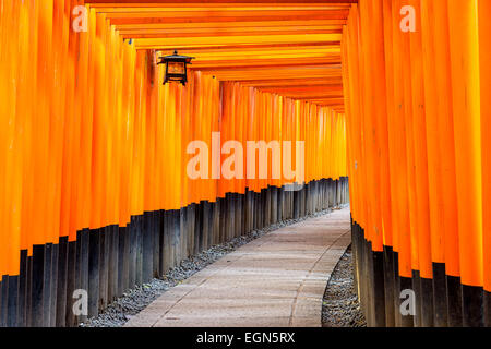 Fushimi Inari torii gates in Kyoto, Japan. Stock Photo