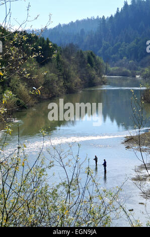 Fishermen wade into the russian river catch salmon in eary Stock Photo