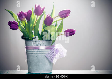 Pink tulips in retro bucket studi photo Stock Photo