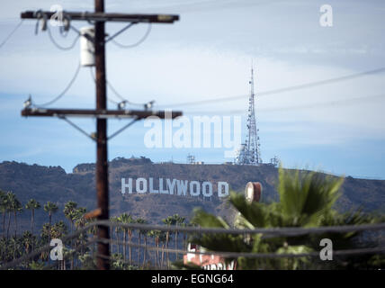 Hollywood, California, USA. 23rd Aug, 2014. The Hollywood can be seen in the distance above the buildings, signs and palm trees of Thai Town. © David Bro/ZUMA Wire/Alamy Live News Stock Photo