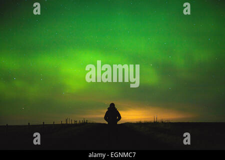 CALGARY, ALBERTA/CANADA - 24th Tuesday February 2015 -  Northern lights aurora borealis seen in the night sky of outskirts city area of Calgary, Alberta Canada. Stock Photo