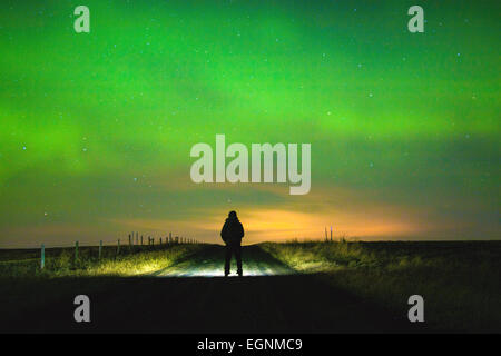 CALGARY, ALBERTA/CANADA - 24th Tuesday February 2015 -  Northern lights aurora borealis seen in the night sky of outskirts city area of Calgary, Alberta Canada. Stock Photo