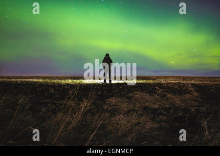 CALGARY, ALBERTA/CANADA - 24th Tuesday February 2015 -  Northern lights aurora borealis seen in the night sky of outskirts city area of Calgary, Alberta Canada. Stock Photo