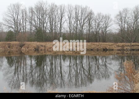 spring grove without leaves stay on bank of the river reflected in calm water Stock Photo